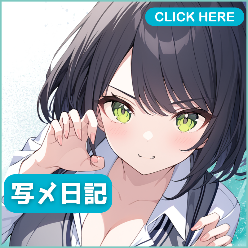 写メ日記